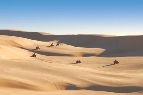 Worimi Sand Dunes Quad Bike Tour - Palm Beach Accommodation 5