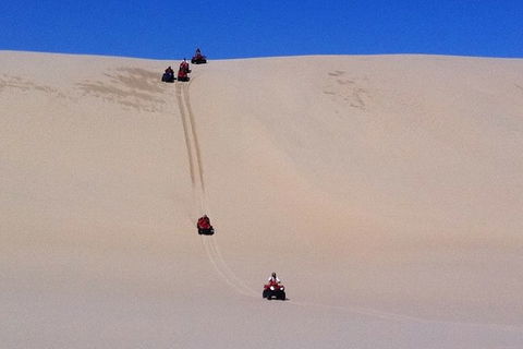 Worimi Sand Dunes Quad Bike Tour - Palm Beach Accommodation 3