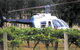 Private Hunter Valley Lunch Tour By Helicopter - thumb 1