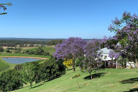 Private Hunter Valley Lunch Tour By Helicopter - Palm Beach Accommodation 4