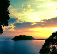 Palm Beach and Pittwater Kayak Tours - Palm Beach Accommodation