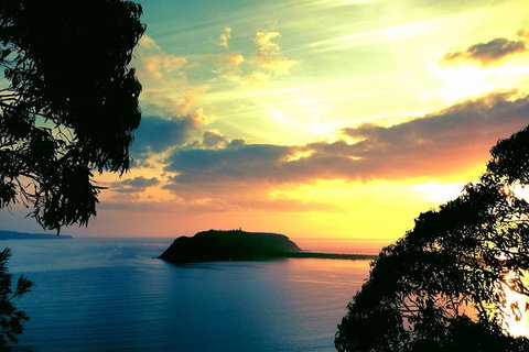 Palm Beach And Pittwater Kayak Tours - Palm Beach Accommodation 0