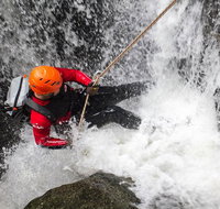 Full Day Sub-Tropical Rainforest Canyoning Adventure from Sydney - Palm Beach Accommodation