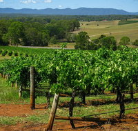 Small Group All Inclusive Hunter Valley Wine Tasting Tour from Sydney - Palm Beach Accommodation