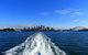 Sydney Whale-Watching Cruise - thumb 4