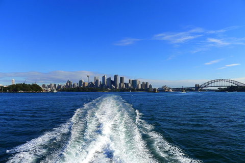 Sydney Whale-Watching Cruise - Palm Beach Accommodation 4