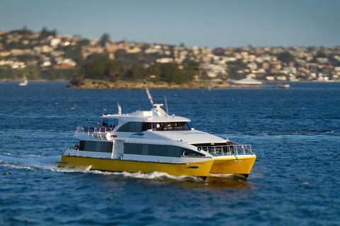 Sydney Whale-Watching Cruise - Palm Beach Accommodation 1