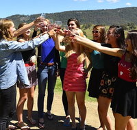 Hunter Valley Wine Tour from Sydney incl Lunch Cheese Chocolate and Distillery - Palm Beach Accommodation