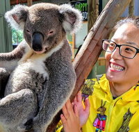 Wildlife Waterfalls and Wine Day Tour from Sydney - Palm Beach Accommodation