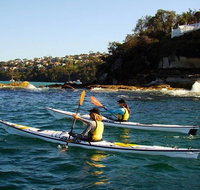 Self-Guided Sydney Middle Harbour Kayak 3 Hour Tour by Single Kayak - Palm Beach Accommodation