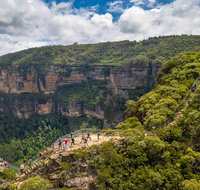 Stray Australia Blue Mountains - Day Tour - Palm Beach Accommodation