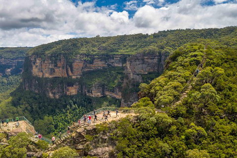 Stray Australia: Blue Mountains - Day Tour - Palm Beach Accommodation 0