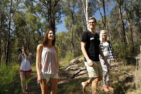 Stray Australia: Blue Mountains - Day Tour - Palm Beach Accommodation 1