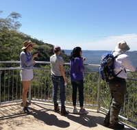 Blue Mountains Private Tour with Kangaroos  Koala Encounter - Palm Beach Accommodation