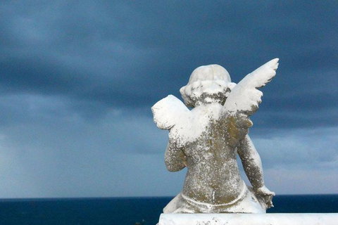 Private Tour: Half-Day Iconic Sydney - Palm Beach Accommodation 12