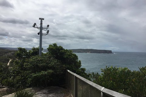 Private Tour: Half-Day Iconic Sydney - Palm Beach Accommodation 22