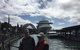 Private Tour: Half-Day Iconic Sydney - thumb 10