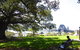 Private Tour: Half-Day Iconic Sydney - thumb 6