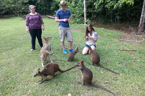 Small Group Blue Mountains Day Tour From Sydney - Palm Beach Accommodation 1