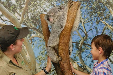 Small Group Blue Mountains Day Tour From Sydney - Palm Beach Accommodation 4