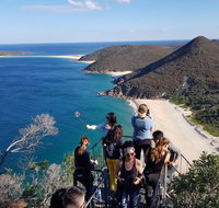 Port Stephens Beach Day Trip from Sydney Including Barbecue Lunch - Palm Beach Accommodation