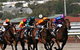 Sydney Harbour Melbourne Cup Cruise - thumb 0