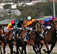Sydney Harbour Melbourne Cup Cruise - Palm Beach Accommodation