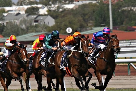 Sydney Harbour Melbourne Cup Cruise - Palm Beach Accommodation 0