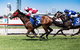Sydney Harbour Melbourne Cup Cruise - thumb 2