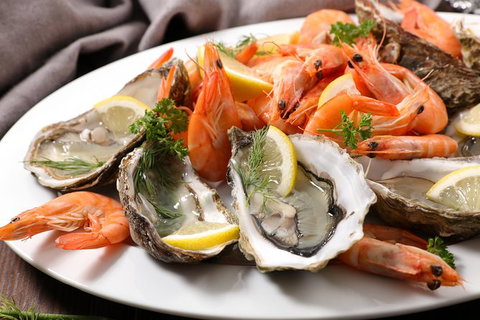 Sydney Harbour Melbourne Cup Cruise - Palm Beach Accommodation 4