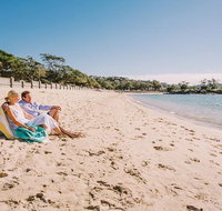 Sydney Shore Excursion Half-Day Sydney City Highlights with Bondi Beach and Watsons Bay - Palm Beach Accommodation