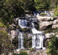 Agnes Falls Scenic Reserve - Palm Beach Accommodation