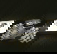 Allandale Winery - Palm Beach Accommodation