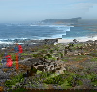 Bibbulmun Track - Palm Beach Accommodation