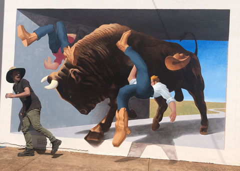 Big Bull Mural - Palm Beach Accommodation 0