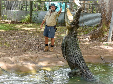 Billabong Sanctuary - Palm Beach Accommodation 1