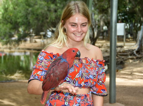 Billabong Sanctuary - Palm Beach Accommodation 2