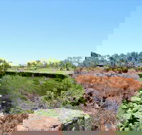Bladensburg National Park - Palm Beach Accommodation