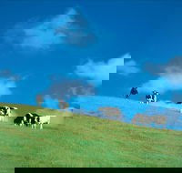 Bridgetown - Palm Beach Accommodation