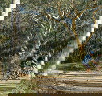 Bundanoon cycling route - Palm Beach Accommodation