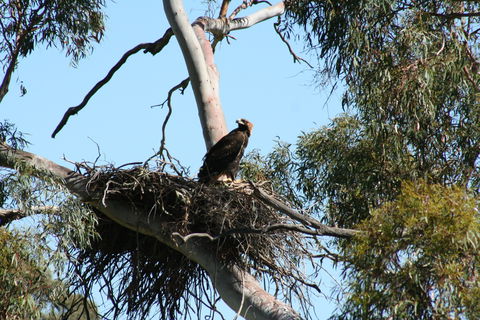 Castle Creek Reserve - Palm Beach Accommodation 0