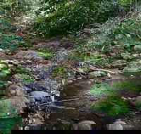 Cascades picnic area - Palm Beach Accommodation
