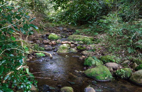 Cascades Picnic Area - Palm Beach Accommodation 0