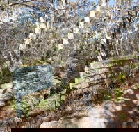 Cascades walking track and viewing platform - Palm Beach Accommodation