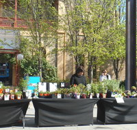 Clare Show Market