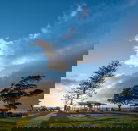 Cleveland Nandeebie/Indillie - Palm Beach Accommodation