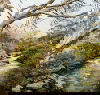 Dead Horse Gap walking track - Palm Beach Accommodation