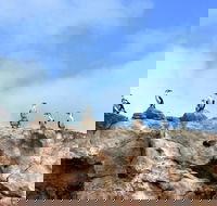 Dirk Hartog Island National Park - Palm Beach Accommodation