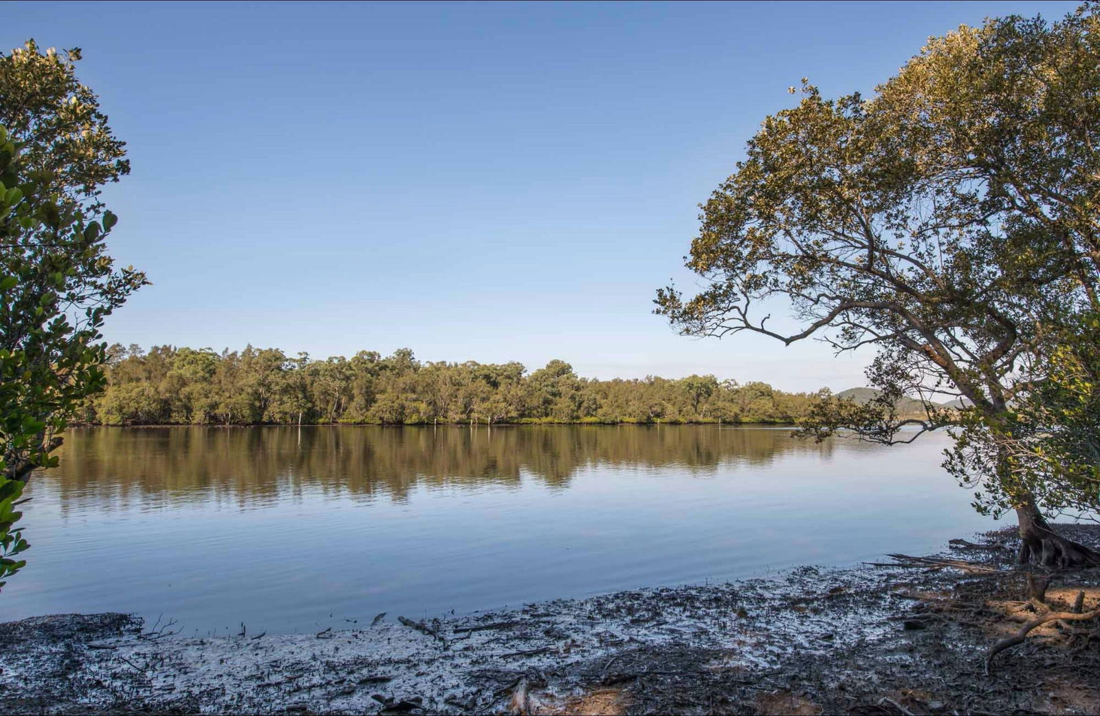 Limeburners Creek NSW Palm Beach Accommodation