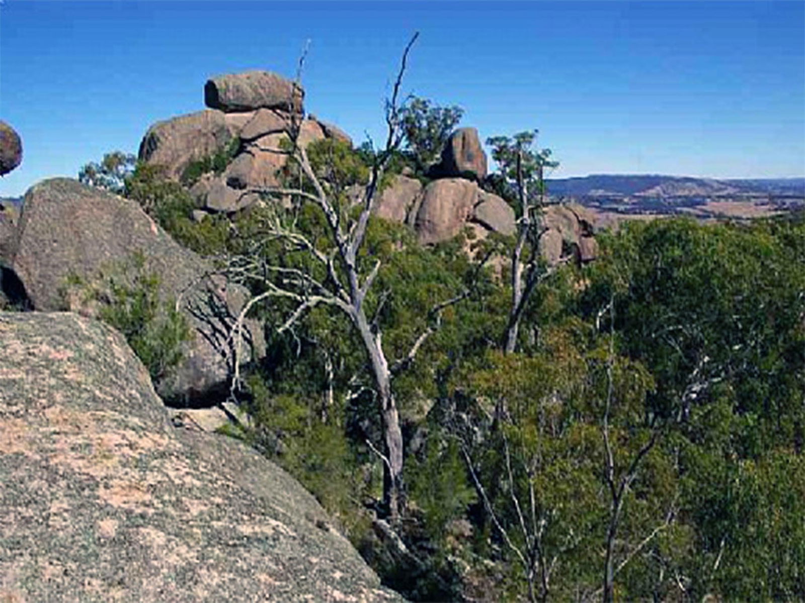 Explorer Country NSW Palm Beach Accommodation